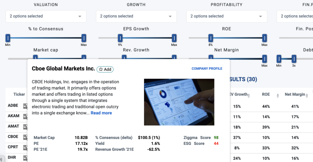 stock company profile