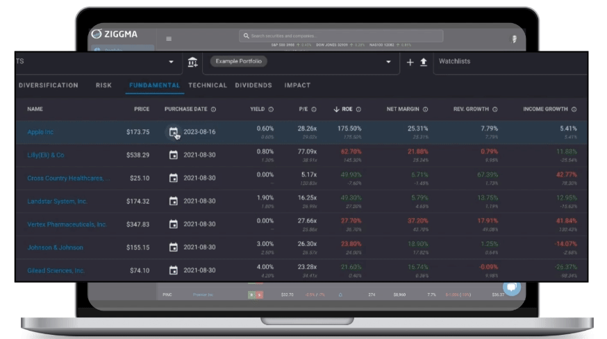 KPI tracking in Ziggma's stock portfolio tracker